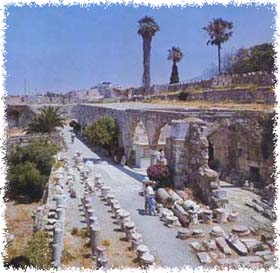 �� ������