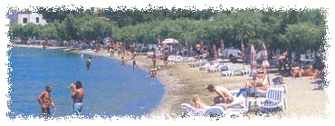 The ideal area of Xirocampos