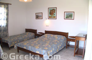 Naxos Hotels (Mikri Vigla) - Coralli Beach Hotel Naxos Apartments & Studios for Rent in Naxos Greece