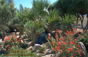 Coralli studios & apartments garden