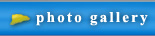town of Naxos Platia Restaurant menu navigation