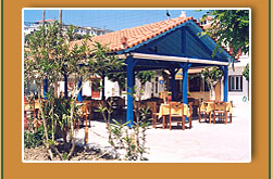 ���� ��� ���������