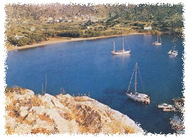 �� ������� �� �� �������