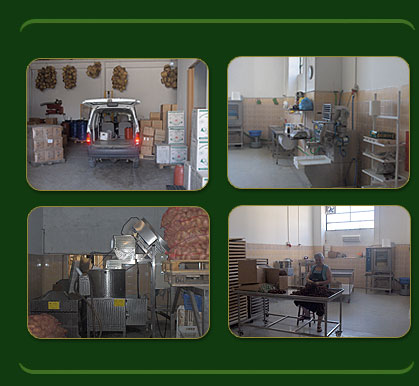 ���� ��� ���������