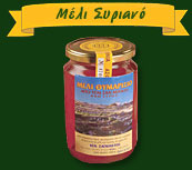 ���� ��� ���������